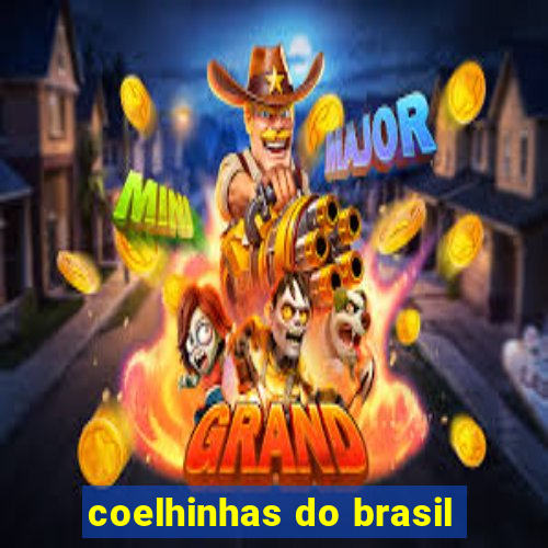 coelhinhas do brasil